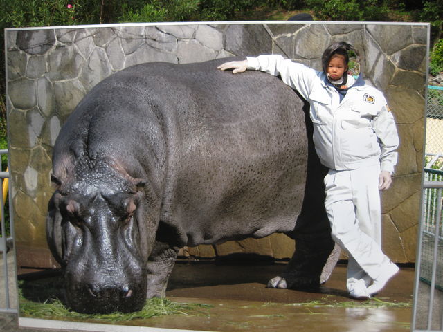 東山動物園 ぼくキウイ 東山動物園 ぼくキウイ
