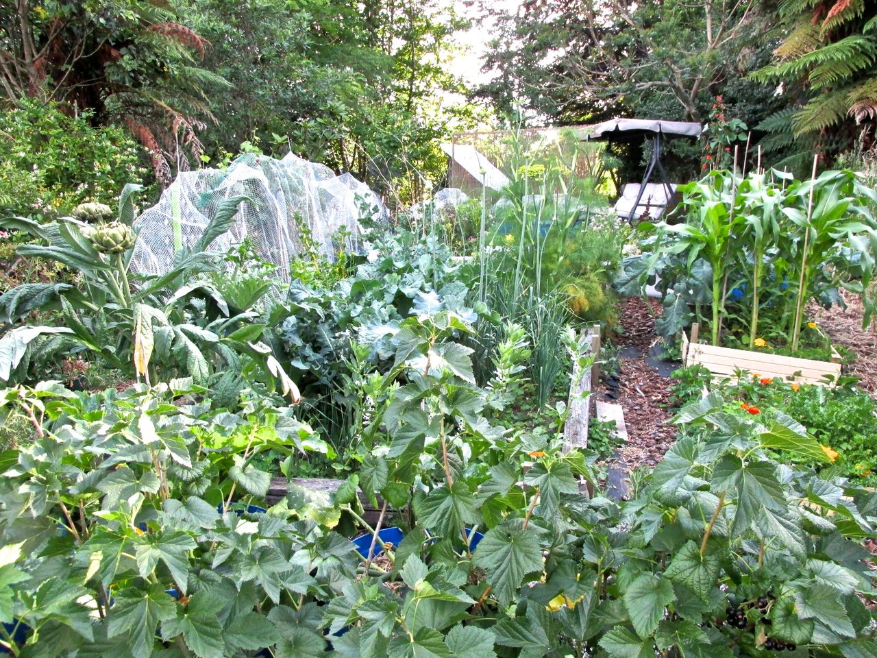 コルジェットのリーフレット