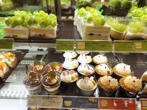 IMG20240915152057_20241023230151