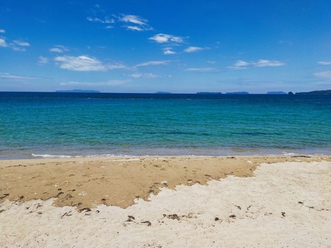 IMG20210807123205_20210812174335