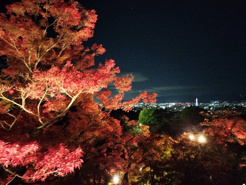 IMG20241129192724_20241130221730