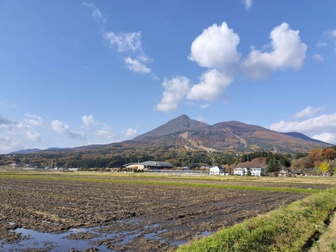 IMG20251107131959_20251109224832