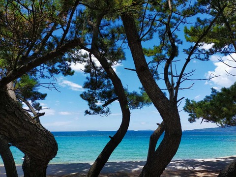 IMG20210807123455_20210807234814