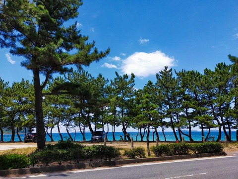 IMG20210807123538_20210807234820