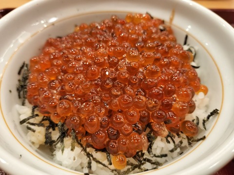 IMG20251101172810_20251101203601