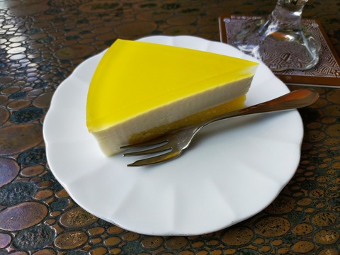 IMG20210807130109_20210807233340