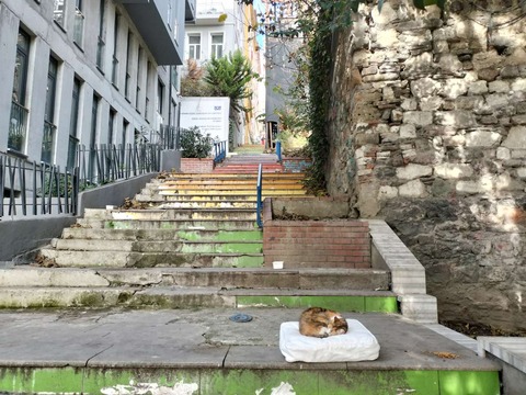 IMG20240106122950_20240120225537