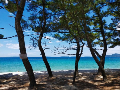 IMG20210807123130_20210812174337