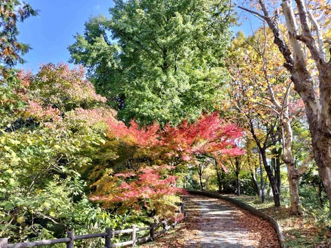 IMG20241201115403_20241201220853