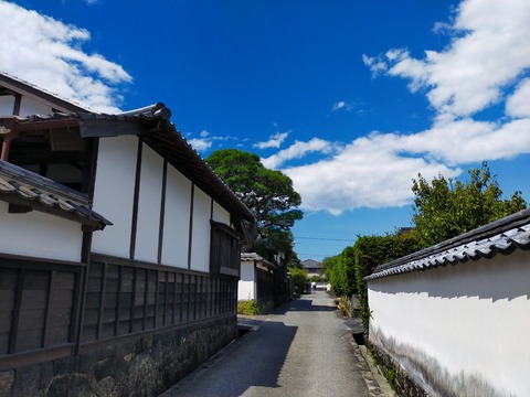 IMG20210807135332_20210812175822