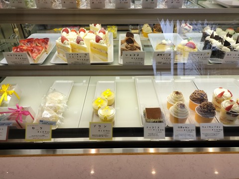 IMG20250429154431_20251207220440