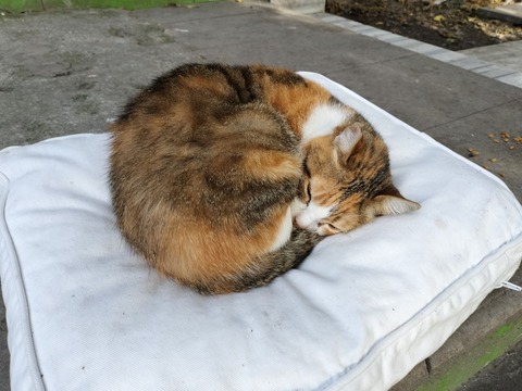 IMG20240106122938_20240120225533