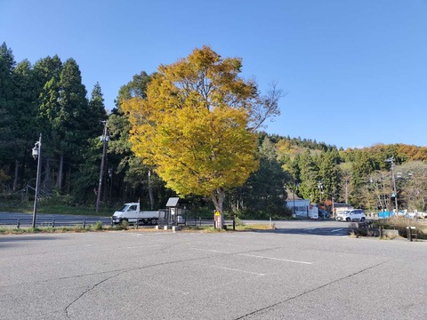 IMG20251107134204_20251130195120