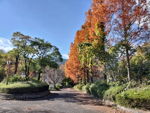 IMG20241201124045_20241201220856