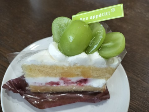 IMG20240915160717_20241023230150