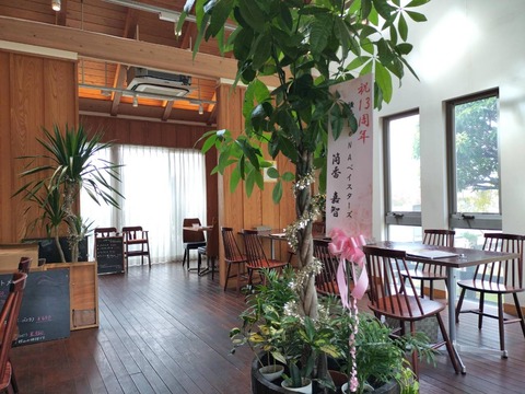 IMG20251112124054_BURST000_COVER_20251112225908