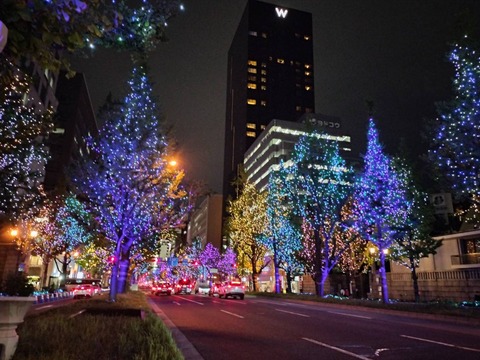 IMG20251105193444_20251106234651 (1)