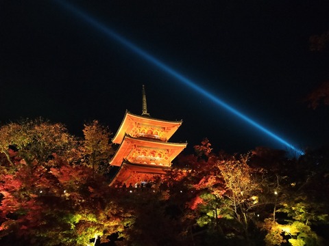 IMG20241129195213_20241130221735