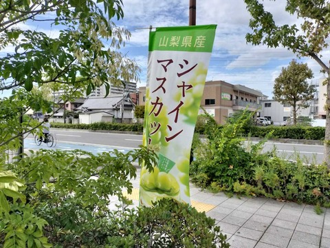 IMG20240915152323_20241023230149