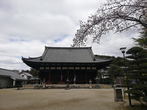 IMG_20200329_123651[1]