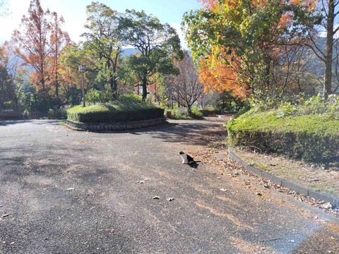 IMG20241201125145_20241201220858