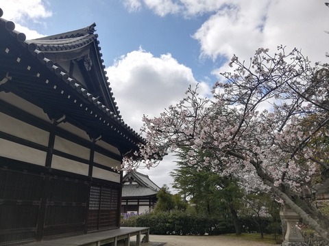 IMG_20200329_123446[1]