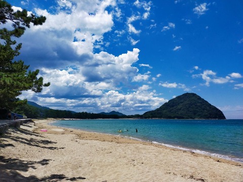 IMG20210807123310_20210807234824