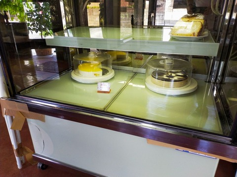 IMG20210807124124_20210807233345