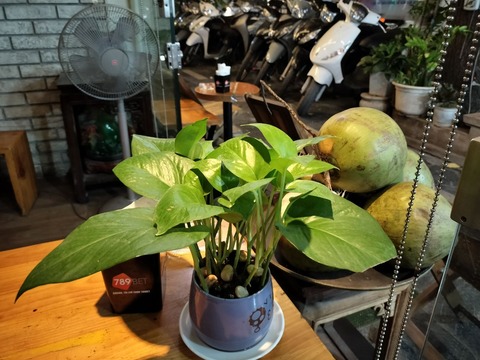 IMG20241010183704_20241030000015