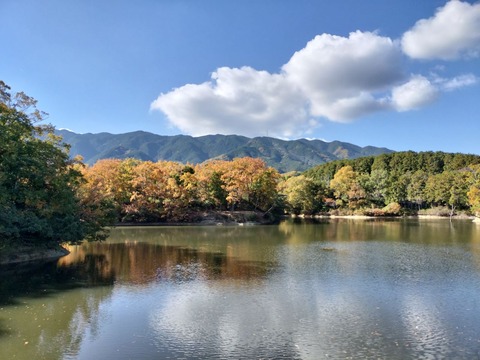 IMG20241201115840_20241201220855