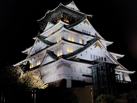 IMG20241211180135_20241211231513