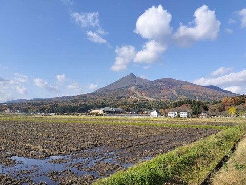 IMG20251107131958_20251116223544