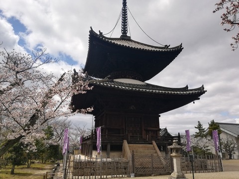 IMG_20200329_123629[1]