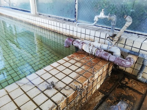 IMG_20191026_163411[1]