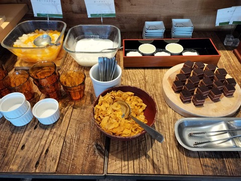 IMG20250904065610_20251005210415