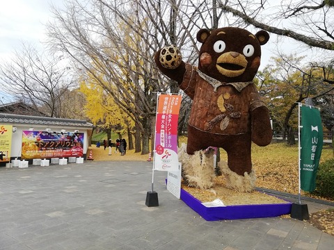 IMG_20191207_121820[1]