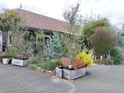 IMG20251102113738_20251103223401