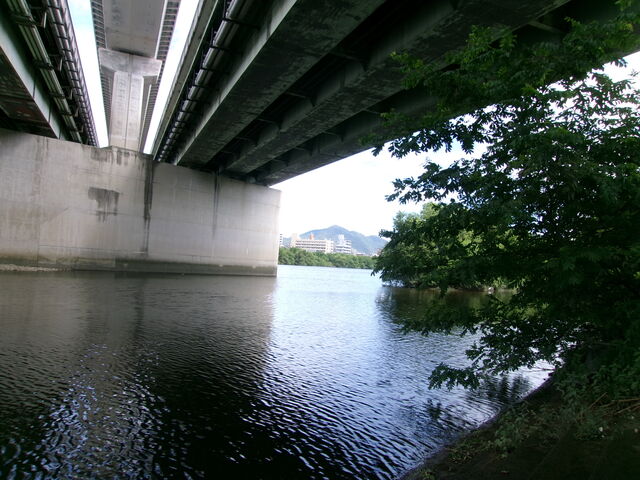 109_2233