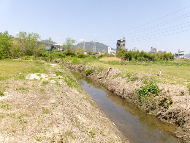 109_0528