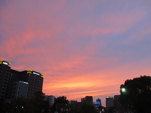 IMG_3521
