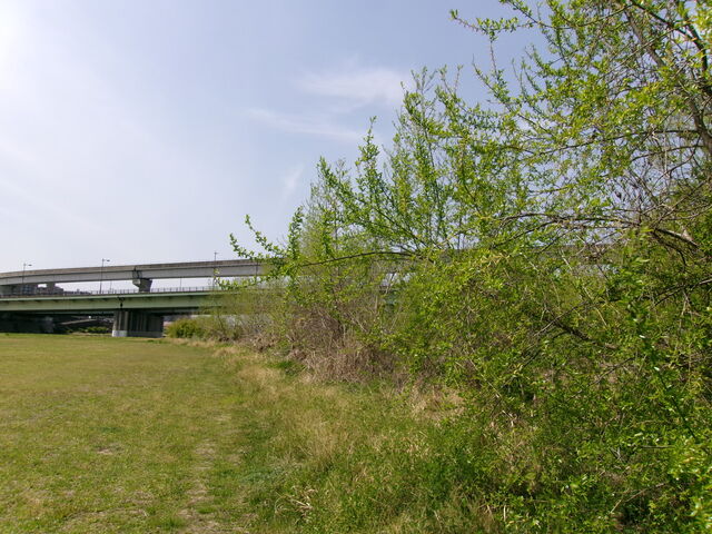109_0499
