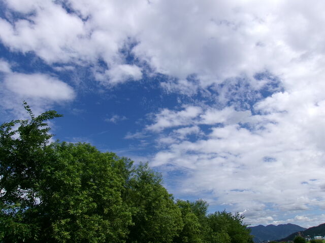 109_2231