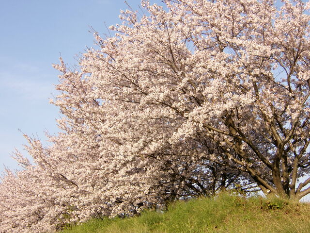 109_0137