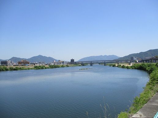 IMG_2879