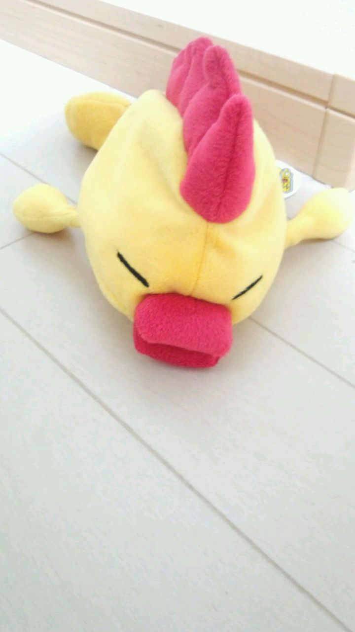 しゃくとり虫そらジローo(^-^)o : くろぺんぎんさんのあれこれ話