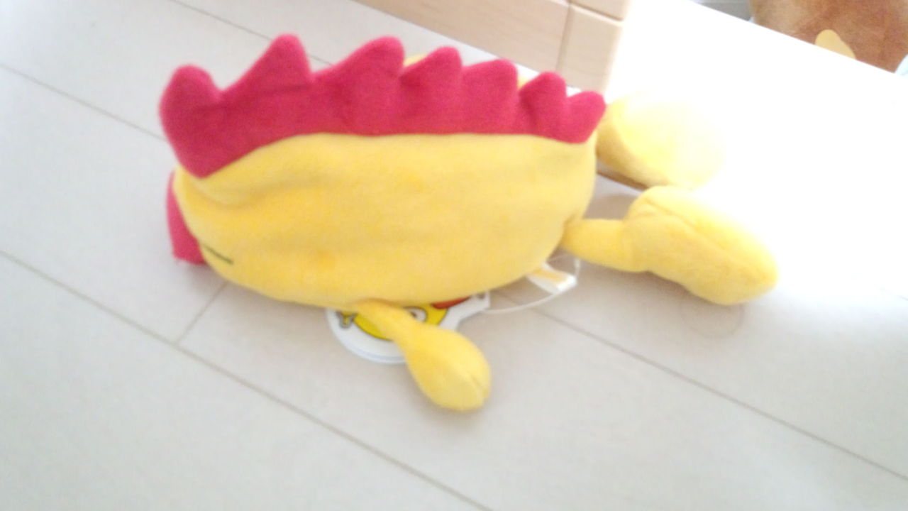 そら ジロー 仲間