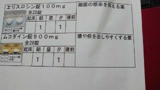 副鼻腔炎 O くろぺんぎんさんのあれこれ話 V