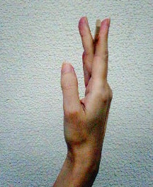 バレエ 手の使い方 その2 きよ先生の大人 おとな のバレエブログ バレエ 手の使い方 その2 きよ先生の大人 おとな のバレエブログ