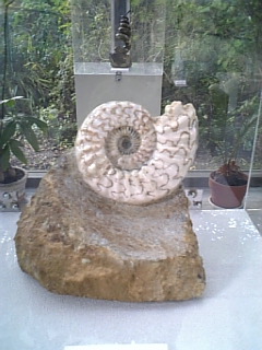 33cb8d11.jpg