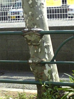 7a825d36.jpg